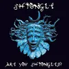 Image de Are You Shpongled ? en occasion ou reconditionné