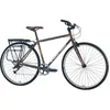 Image de Fairdale Lookfar Bike L