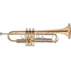 Image de JTR700RQ - Sib Vernie - Etude