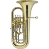 Image de JEP1120 - Sib Verni