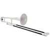 Image de Pbone Blanc