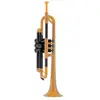 Image de Ptrumpet Jaune