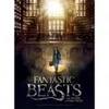 Image de Wrebbit 3D Poster Puzzle - Fantastic Beasts - Macusa
