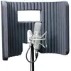 Image de Primacoustic Voxguard VU filtre de réflexion