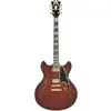 Image de D'Angelico Deluxe DC Stopbar Satin Brown Burst guitare semi-hollow body avec étui