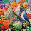 Image de eeBoo Fruits Magiques