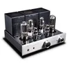 Image de Amplis hi-fi stéréo Cayin CS-845A Référence Silver
