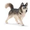 Image de Schleich - 16835 - Figurine Animal - Husky