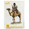Image de HäT 1/72 Hadendowa Camelcavalier