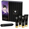 Image de Shunga Coffret Ensemble Geisha Coquine