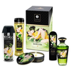 Image de Shunga Coffret 5 pièces GARDEN OF EDO Shunga