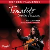 Image de T50R Tomatito Cuerdas Flamencas Tirant Normal