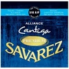 Image de 510ajp Alliance Cantiga Bleu Tirant Fort