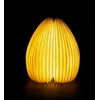 Image de Gingko Smart Vase Light Bamboo