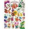 Image de Master Pieces Farmer's Almanac - Fleurs Du Jardin