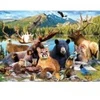 Image de Master Pieces National Parks - Rocky Mountain