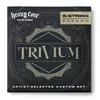 Image de Dunlop Electric Heavy Core Trivium 10-52