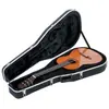 Image de Gator Etui Classique ABS Deluxe