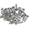 Image de Pickguard / Control Plate Mounting Screws (24) (Chrome)