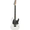 Image de Telecaster Signature Jim Root Ebo Flat White