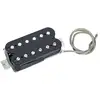 Image de Frankenstein Classic Pickup