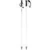 Image de Head Worldcup Rebels Carbon White Bâton de Ski