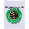 Image de MARTIN Cordes Authentic Silked, Custom Light, 92/8