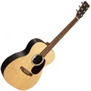 Image de Martin 00-X2E Cocobolo
