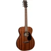 Image de 000 JUNIOR SAPELE