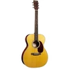 Image de 000-13E Retro Gloss Spruce/Walnut