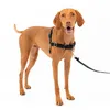 Image de PetSafe Harnais Easy Walk avec Boucle Anti-Traction et Laisse de 1,8 m, Promenade Confortable pour Vous et Lui, 4 Points de Réglage, Résistant, Facile à Mettre et enlever, Noir, Taille M