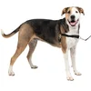 Image de PetSafe - Harnais pour Très Grand Chien Easy Walk (XL) - Noir