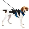 Image de PetSafe - Harnais pour Chien EasySport avec Poignée de Contrôle, Réfléchissant, Ajustable Confortable, Rembourré   Bleu, L