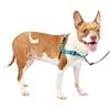 Image de PetSafe Harnais Easy Walk Deluxe, Harnais de Marche sans Traction pour Chiens, Design rembourré, Comprend Une Laisse de 1,8 m, Bleu océan/Noir, M - Moyen