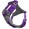 Image de Kurgo Journey Air Dog Harness - Secure Fit for Active Dogs - Padded Chest - Lightweight Ripstop Fabric - Breathable Mesh - Reflective Trim - Back Assist Handle - Purple - X-Large