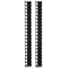 Image de Apc - Schneider Vertical Cable Manager for netshelter sx 600mm Wide 42u (Qty 2) (AR7721)