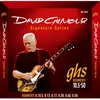 Image de DGG David Gilmour Signature 10,5-50