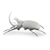 Image de Lladro Porcelain 01009478 Coccinelle rhinocéros (Blanc mat)