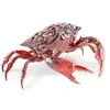 Image de LLADRÓ 01009694 Crabe