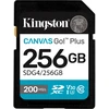 Image de Canvas Go! Plus SDXC 256 Go, Carte mémoire