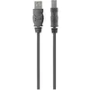 Image de Belkin - Câble USB-A vers USB-B, DSTP - 1,8M - Noir