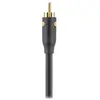 Image de Câble RCA BELKIN coaxiale RCA M/M 1M Noir F3Y096bf1M