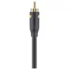 Image de Câble RCA BELKIN coaxiale M/M 2m Noir/Or    F3Y096bf