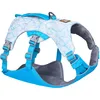 Image de RUFFWEAR Harnais et poignée pour Chien Swamp Cooler, pour Garder Les Animaux au Frais par Temps Chaud, entièrement réglable, 2 portails de Plomb, Biolumin Blue (Large/XL, 81-107 cm)