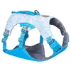 Image de RUFFWEAR Harnais et poignée pour Chien Swamp Cooler, pour Garder Les Animaux au Frais par Temps Chaud, entièrement réglable, 2 portails de Plomb, Biolumin Blue (XX-Small, 33-43 cm)
