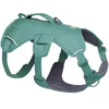 Image de Ruffwear Web Master Harnais pour Chien avec poignée et Boucle améliorée, réglable et léger pour Les promenades et randonnées, Anti-évasion, sans Traction, Respirant et Confortable, Vert rivière, XXS