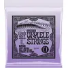 Image de Ernie Ball Ukulele 2327 Concert/Tenor Sol Grave