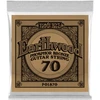 Image de Earthwood Phosphore Bronze 70