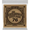 Image de Earthwood Phosphore Bronze 76