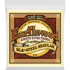 Image de 2043 Earthwood 80/20 Silk Steel Regular 13-56